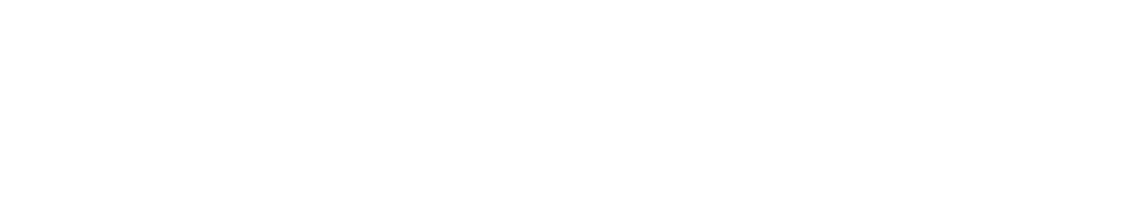 logo_white
